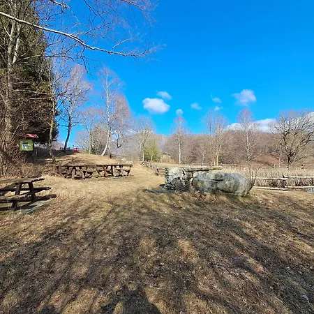 Casa Tra I Boschi Esino Lario