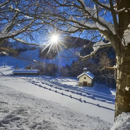 Casa Tra I Boschi Esino Lario