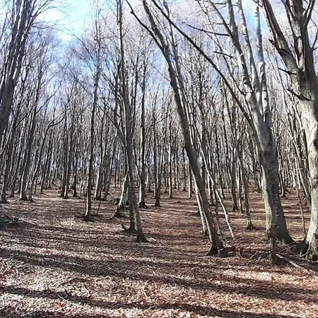 Casa Tra I Boschi 아파트