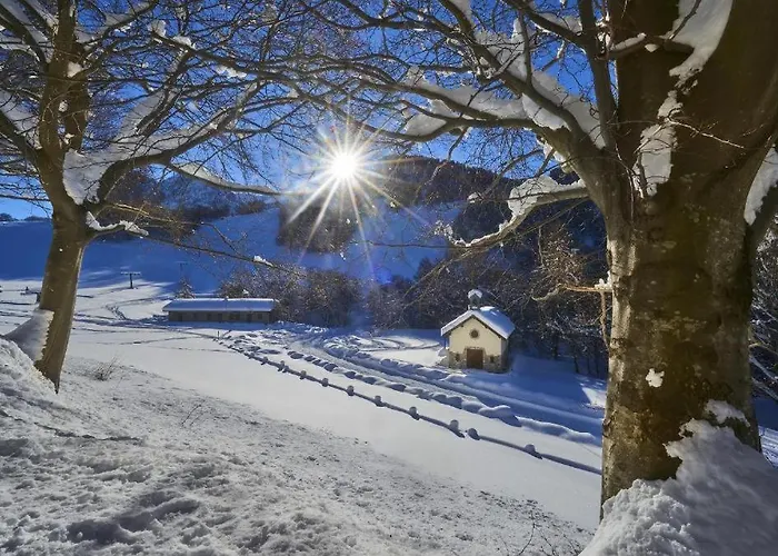 Casa Tra I Boschi Esino Lario