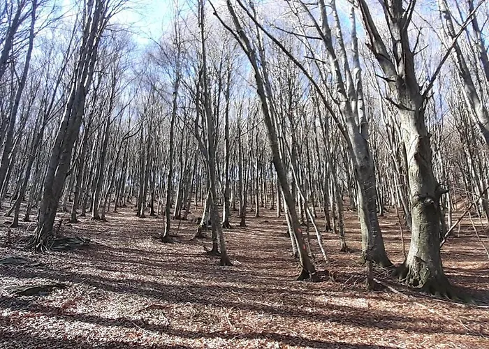Casa Tra I Boschi דירה